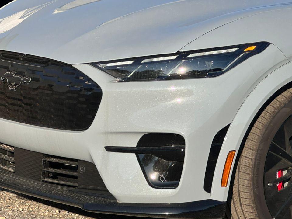 2025 Ford Mustang Mach-E Photo in Silver Spring, MD 20904