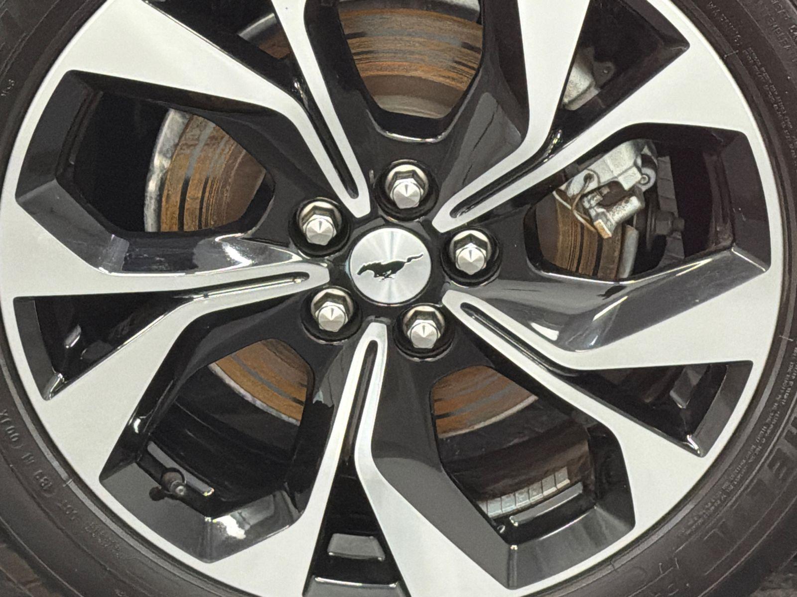 2023 Ford Mustang Mach-E Photo in Silver Spring, MD 20904