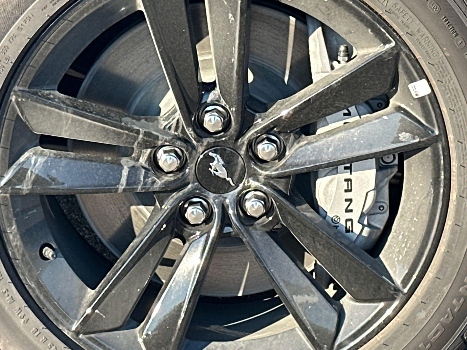 2025 Ford Mustang Photo in Silver Spring, MD 20904