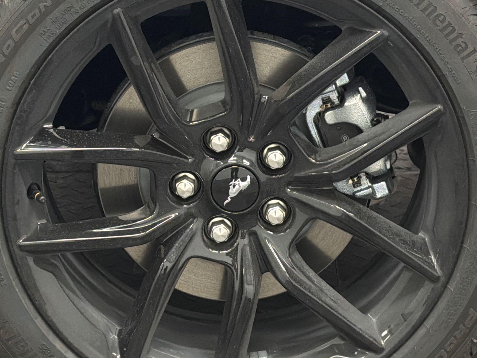 2026 Ford Mustang Photo in Silver Spring, MD 20904