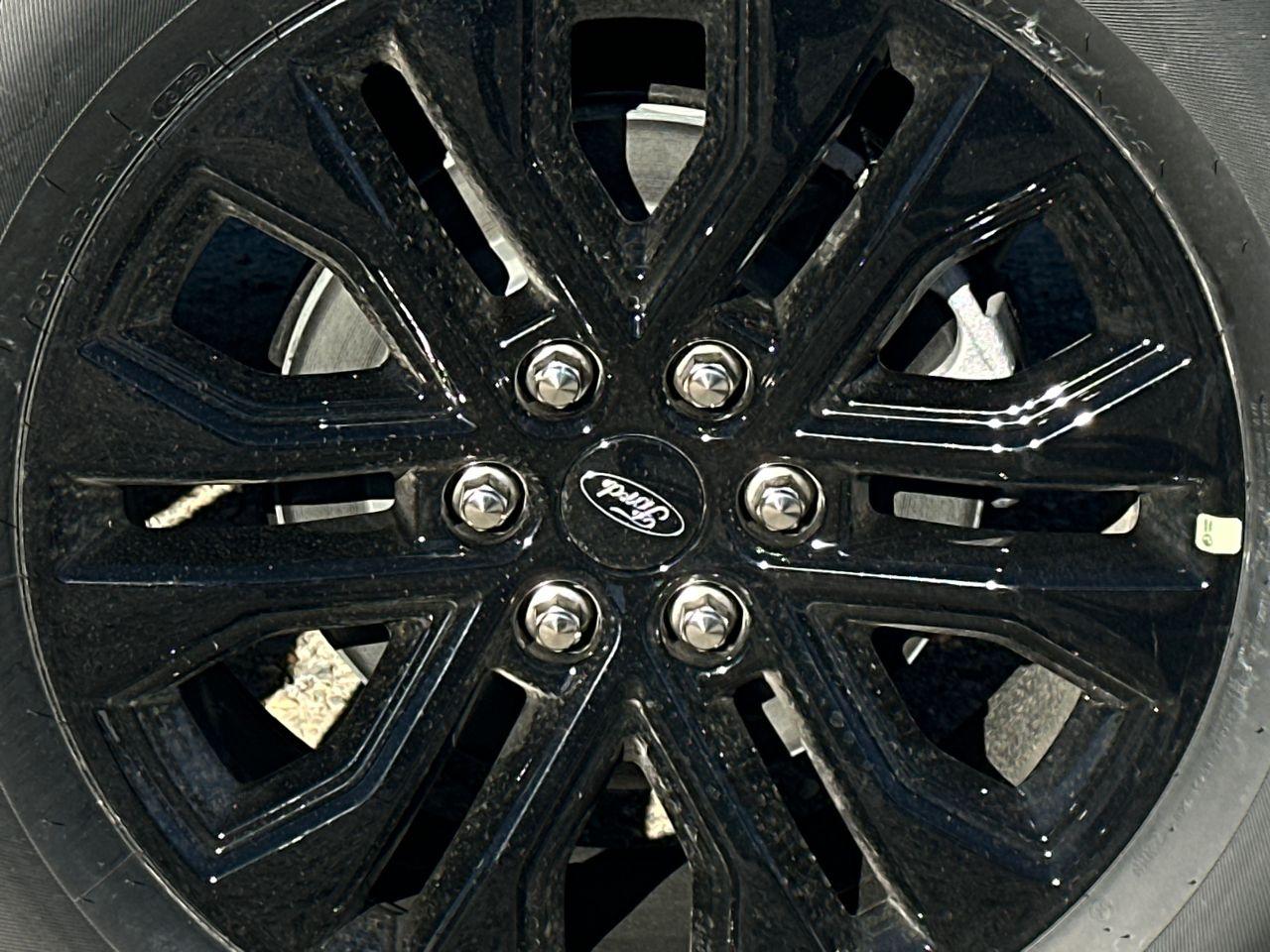 2025 Ford F-150 Photo in Silver Spring, MD 20904