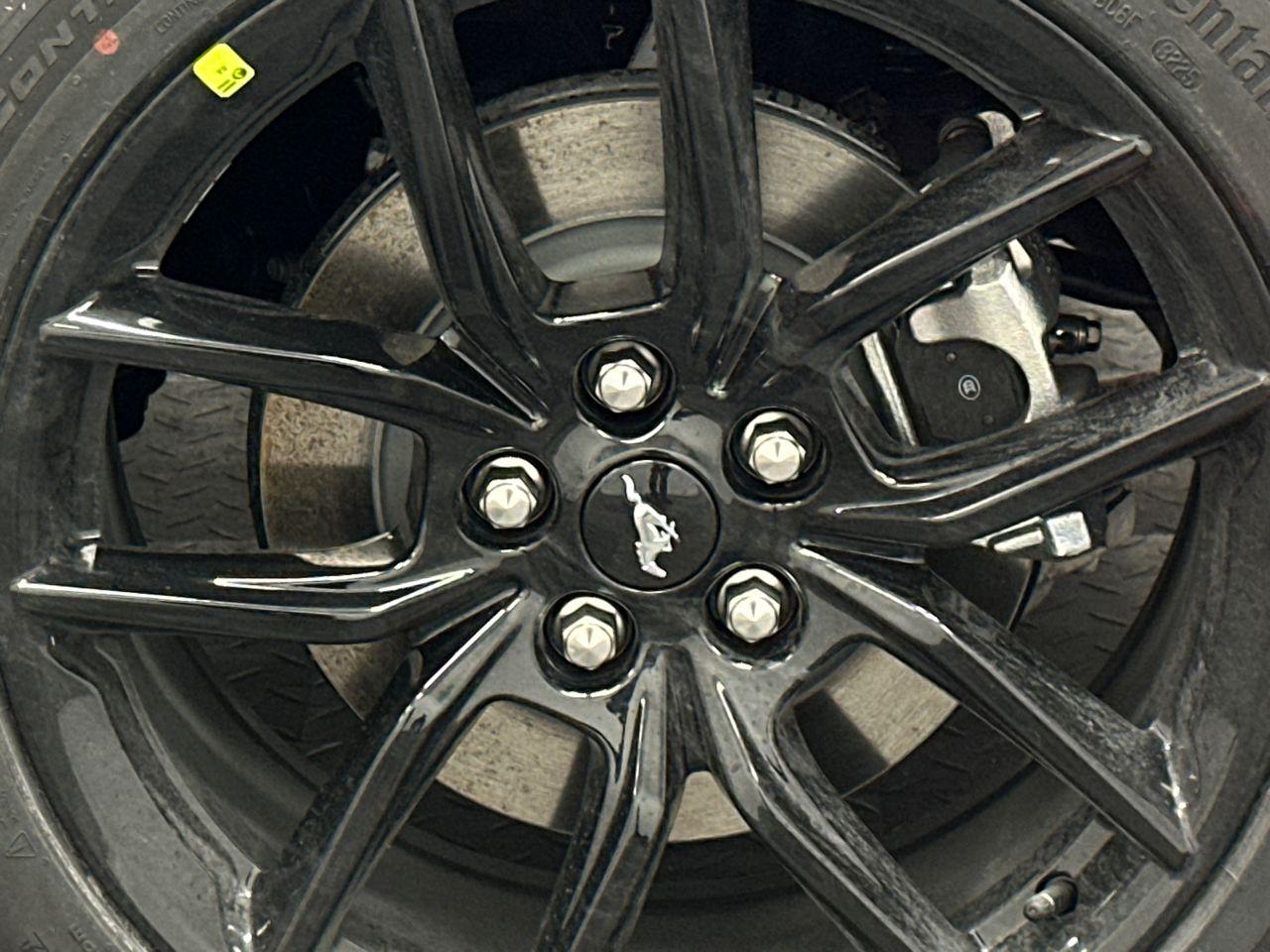 2026 Ford Mustang Photo in Silver Spring, MD 20904